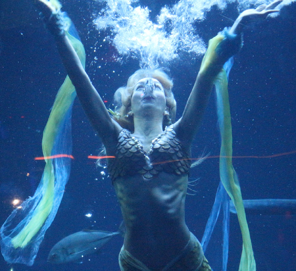 PORTRAIT. Claire Baudet, sirène à plein temps