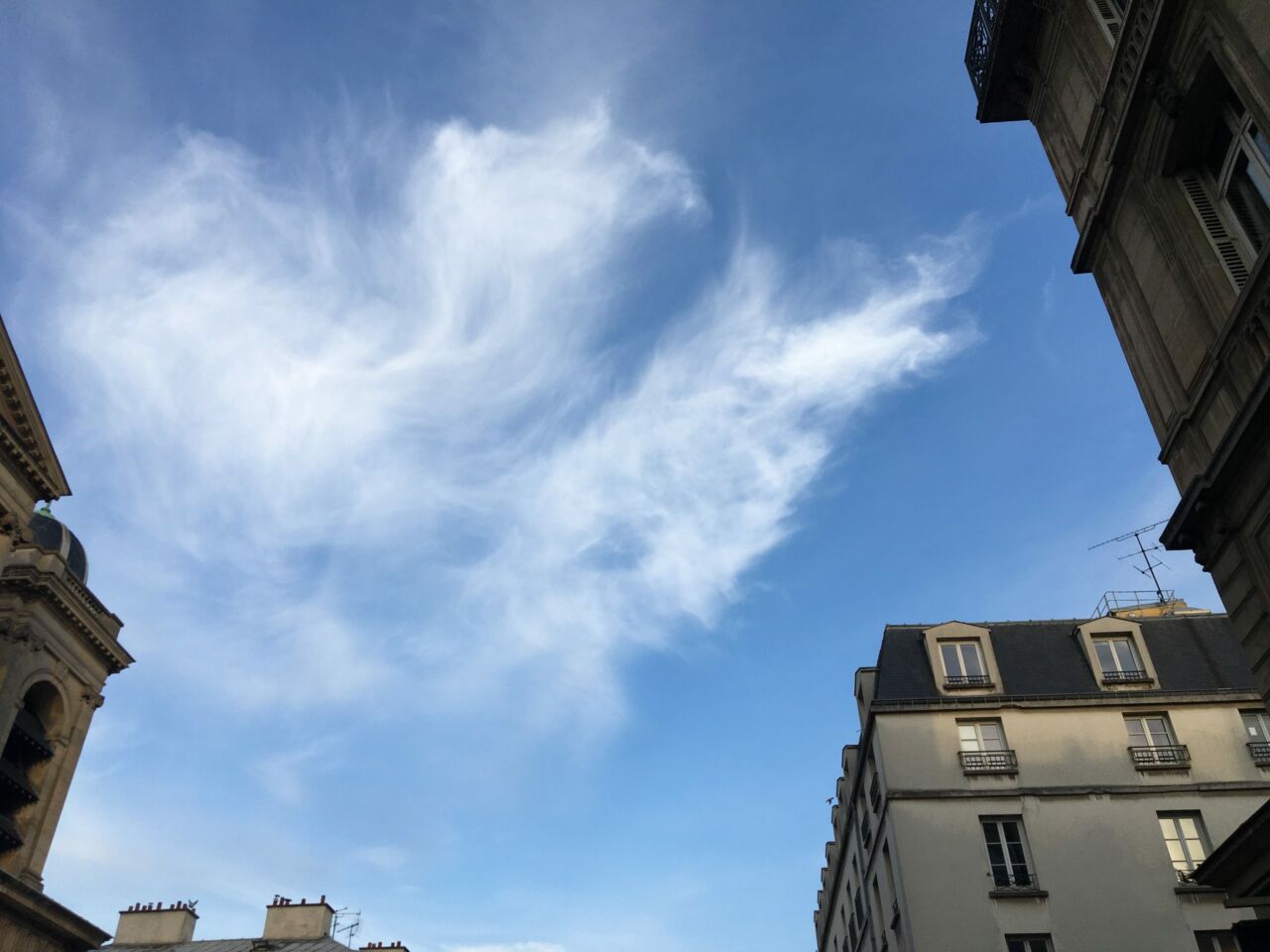 COVID-19. Une véritable baisse de la pollution ?