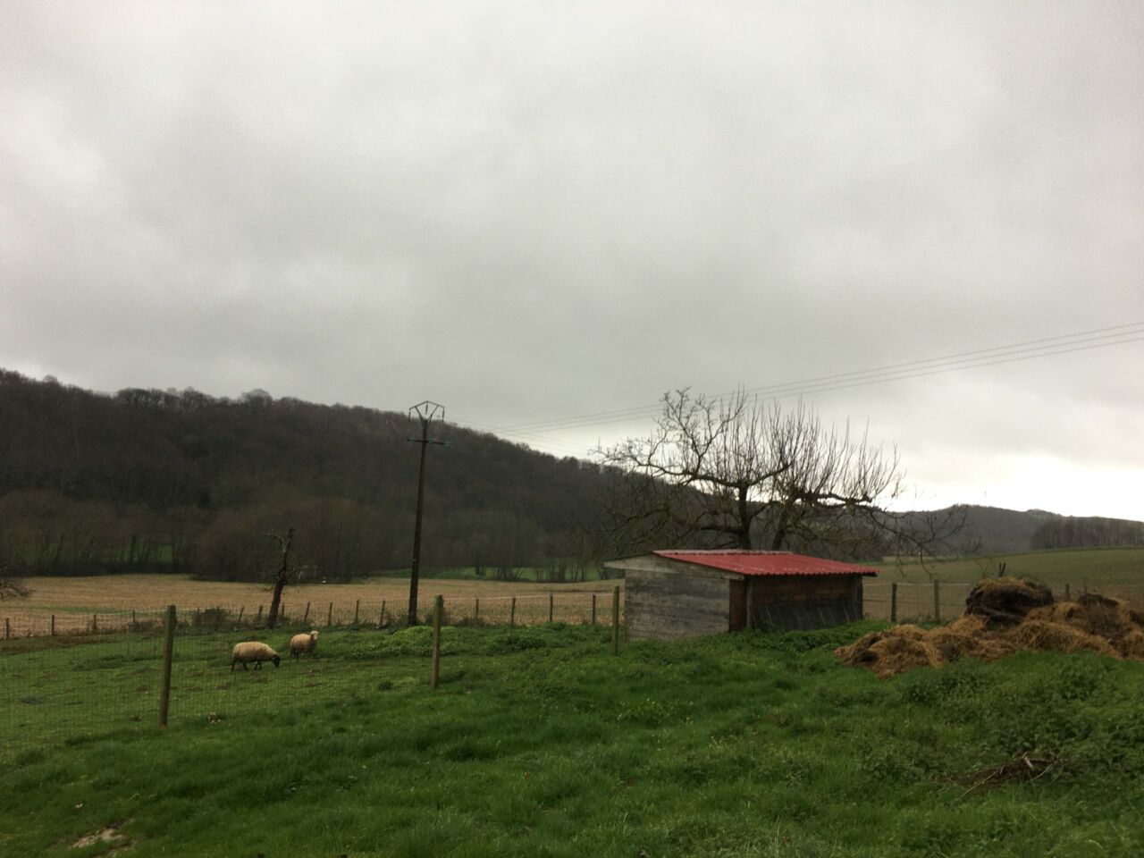 « Au-delà de la rencontre » : un lieu de vie à la campagne pour réintégrer des jeunes en difficulté