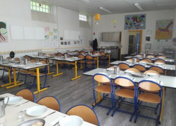 LYON. La polémique des repas sans viande vue par des parents d’élèves