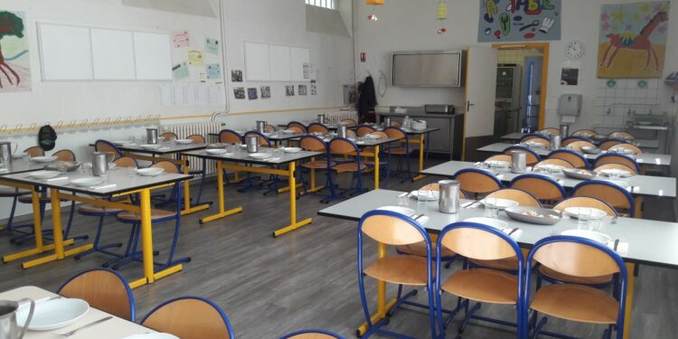 LYON. La polémique des repas sans viande vue par des parents d’élèves