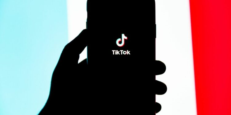 TikTok : entre business et tremplin de créativité, la plateforme au tribunal populaire